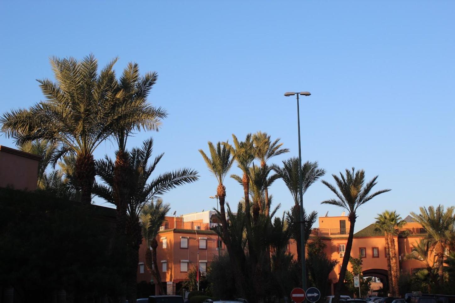 Riad Darnooz Marrakesh Exterior photo